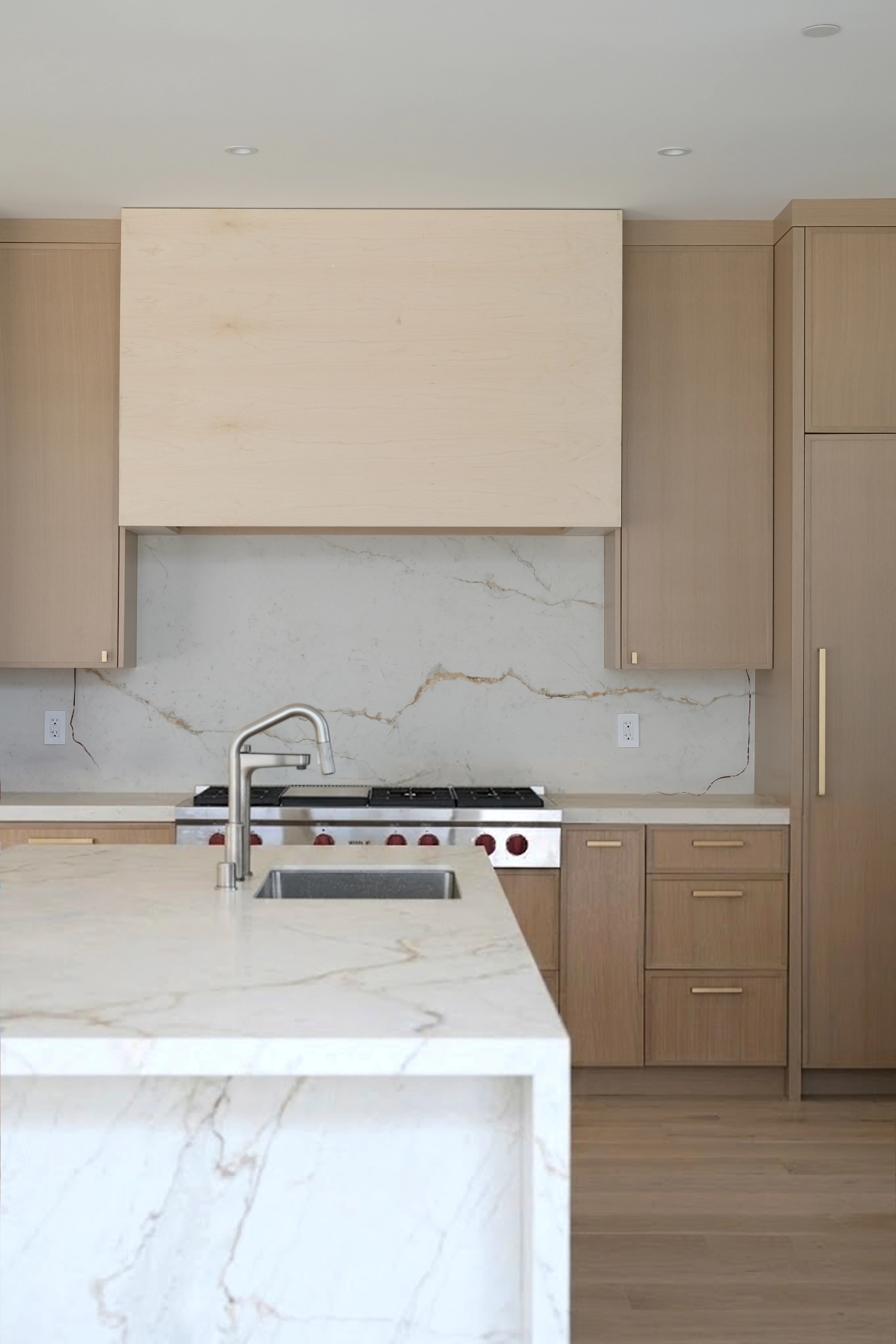 Single Family Home Remodel overview