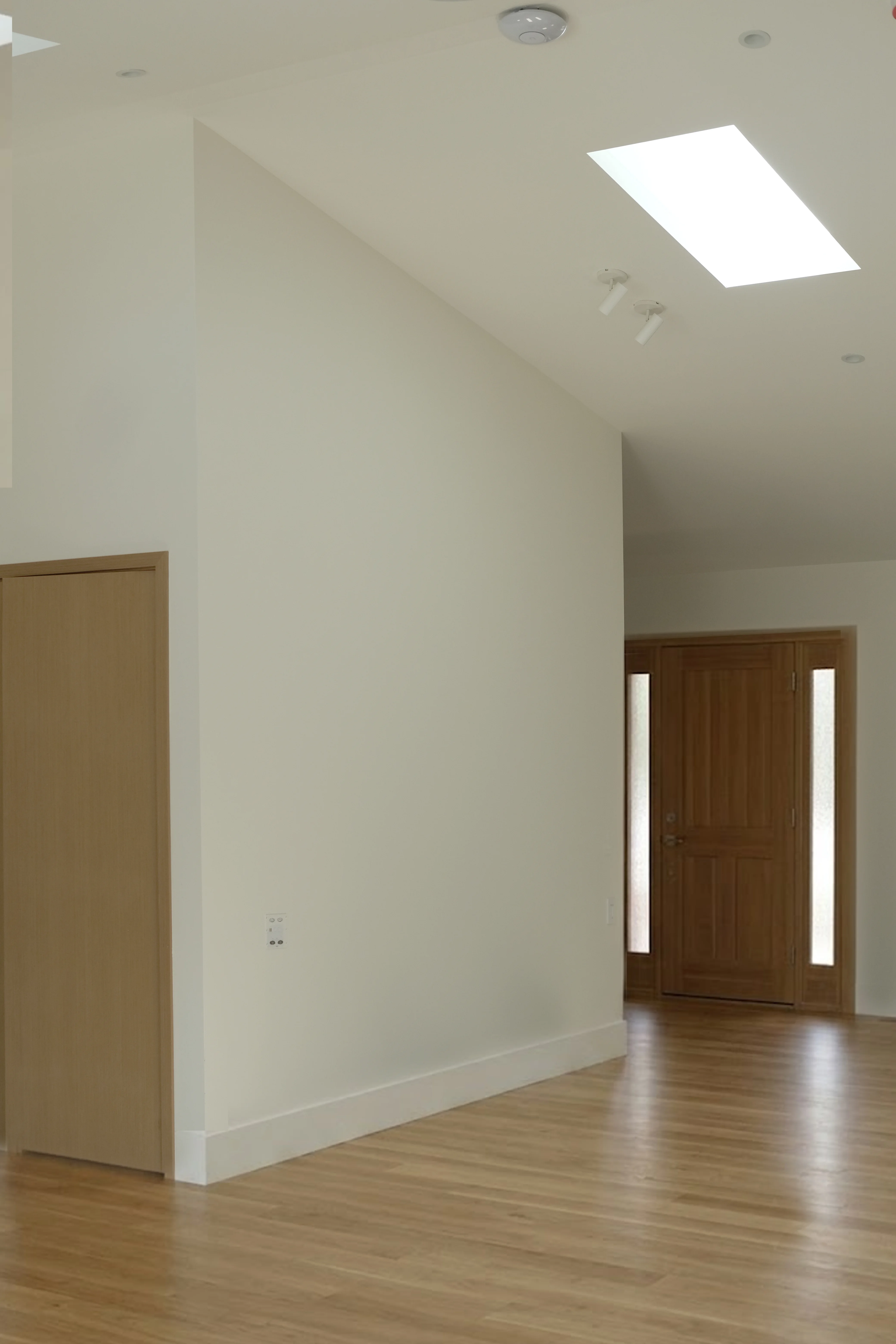 Single Family Home Remodel overview