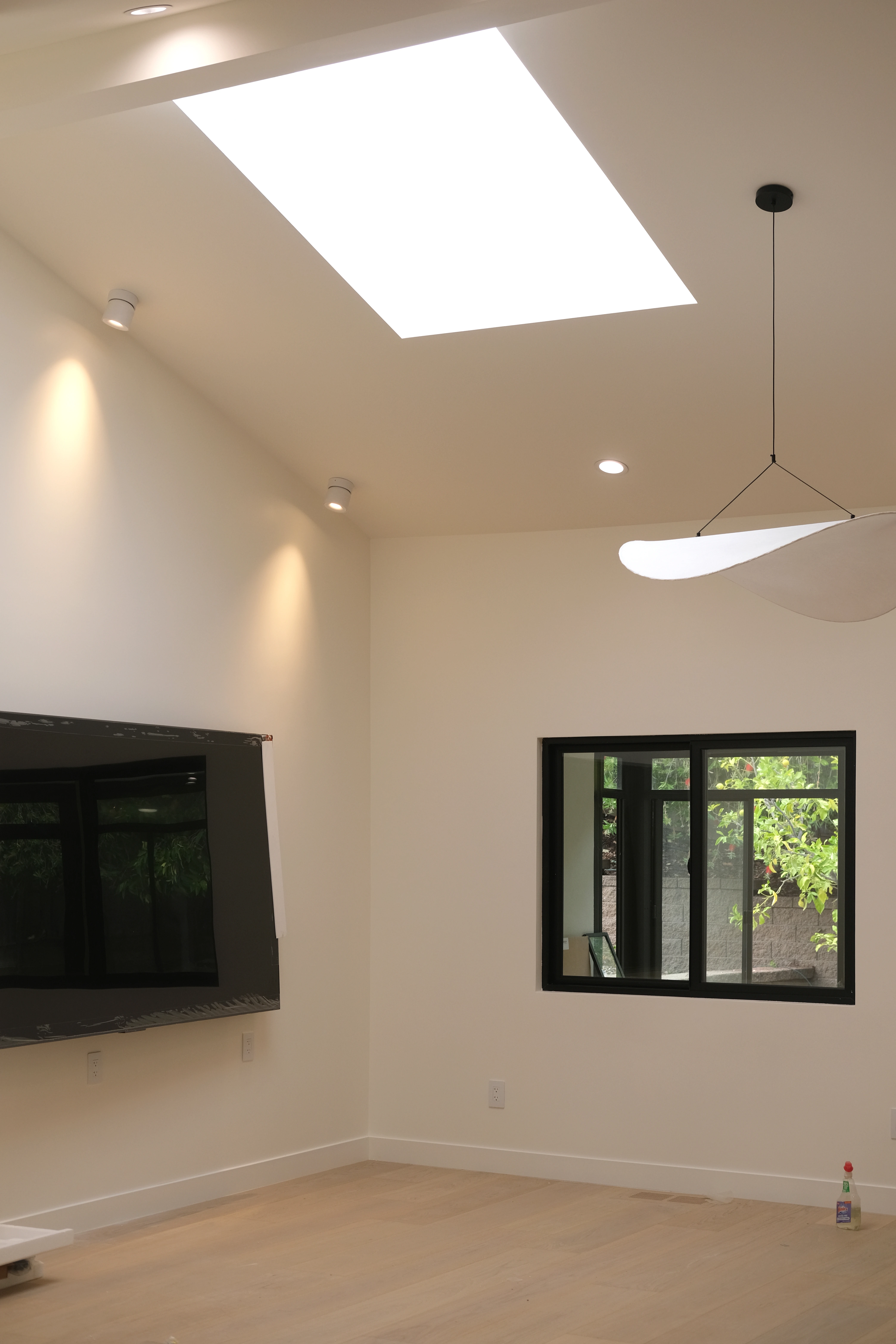 Single Family Home Remodel overview