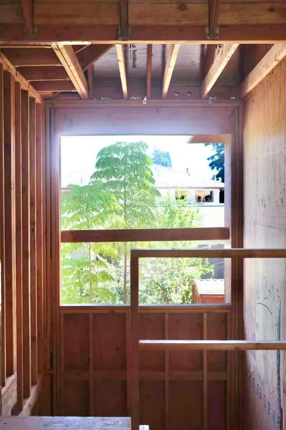 Click to view full screen Large window opening with tree views